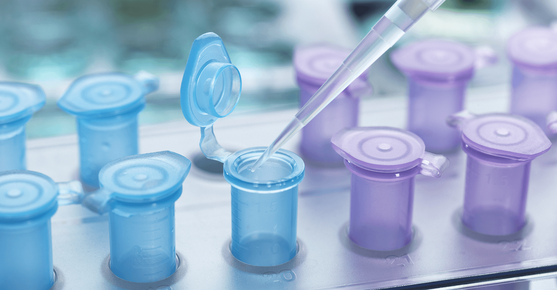 Polymer Additives  